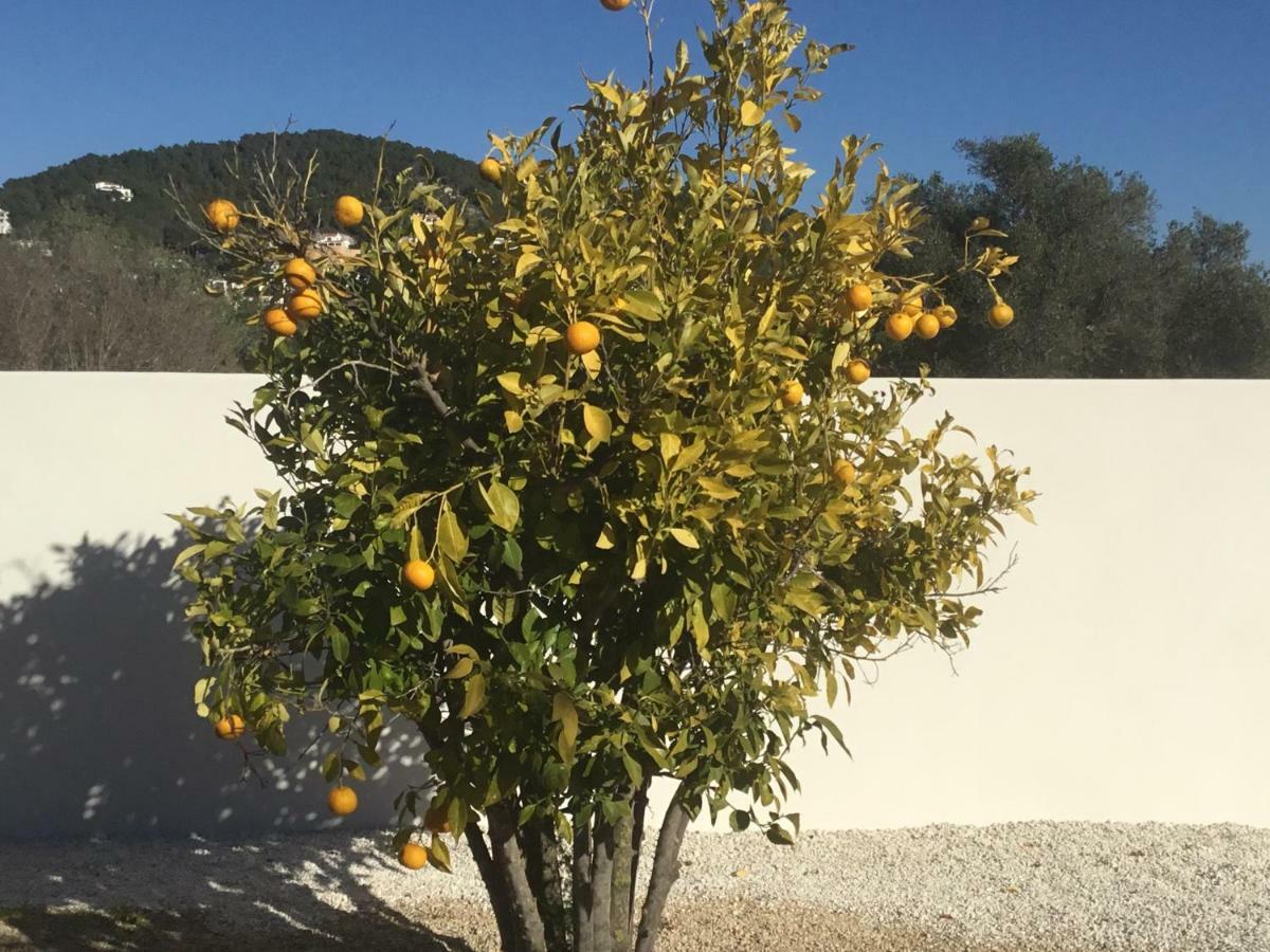 Casita In Javea With Garden And Pool - Dog Friendly! Ngoại thất bức ảnh